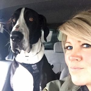 Meet your Posher, Cindy